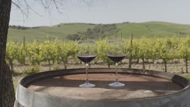 Two Red wine glasses at vineyard in Italy