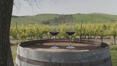 Two Red wine glasses at vineyard in Italy