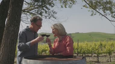 Senior couple drinking wine at vineyard 