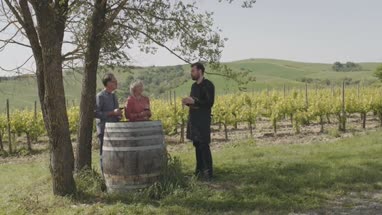 Senior couple at wine tasting