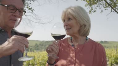 Senior couple drinking wine at vineyard 