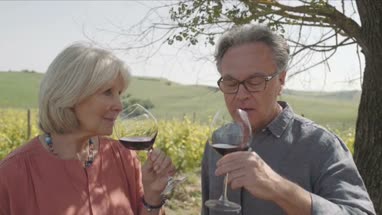 Senior couple drinking wine at vineyard 