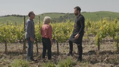 Senior couple at wine tasting