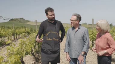 Senior couple visiting vineyard