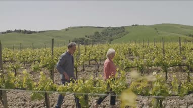 Senior couple on holiday visiting vineyard