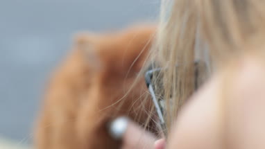 Woman taking picture of pet dog