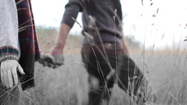 Couple walking in cornfield in fall