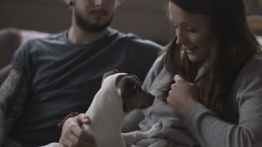 Young couple with pet puppy Jack Russell