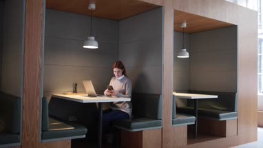 Businesswoman working in a pod in an office