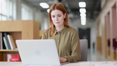 Female entrepreneur working on laptop
