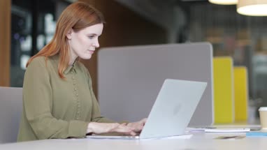 Female entrepreneur working on laptop