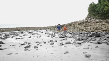 Father and Son exploring a rock pools on beach