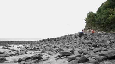 Father and Son looking at shells in rockpool on beach