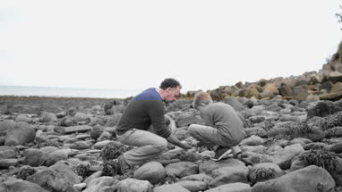 Father and Son looking at shells in rockpool on beach