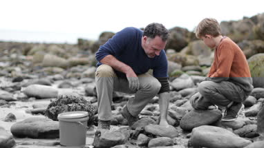 Father and Son looking at shells in rockpool on beach