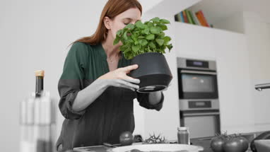 Adult female picking fresh basil