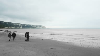 Aerial shot of friends walking along beach 