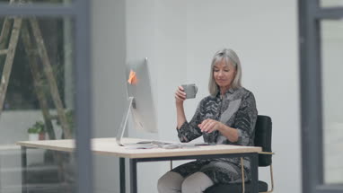 Senior businesswoman using computer