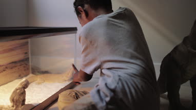 Boy in bedroom playing with iguana